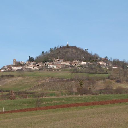 Chateau Des Aiguilles Saint-Remy-de-Chargnat Bagian luar foto