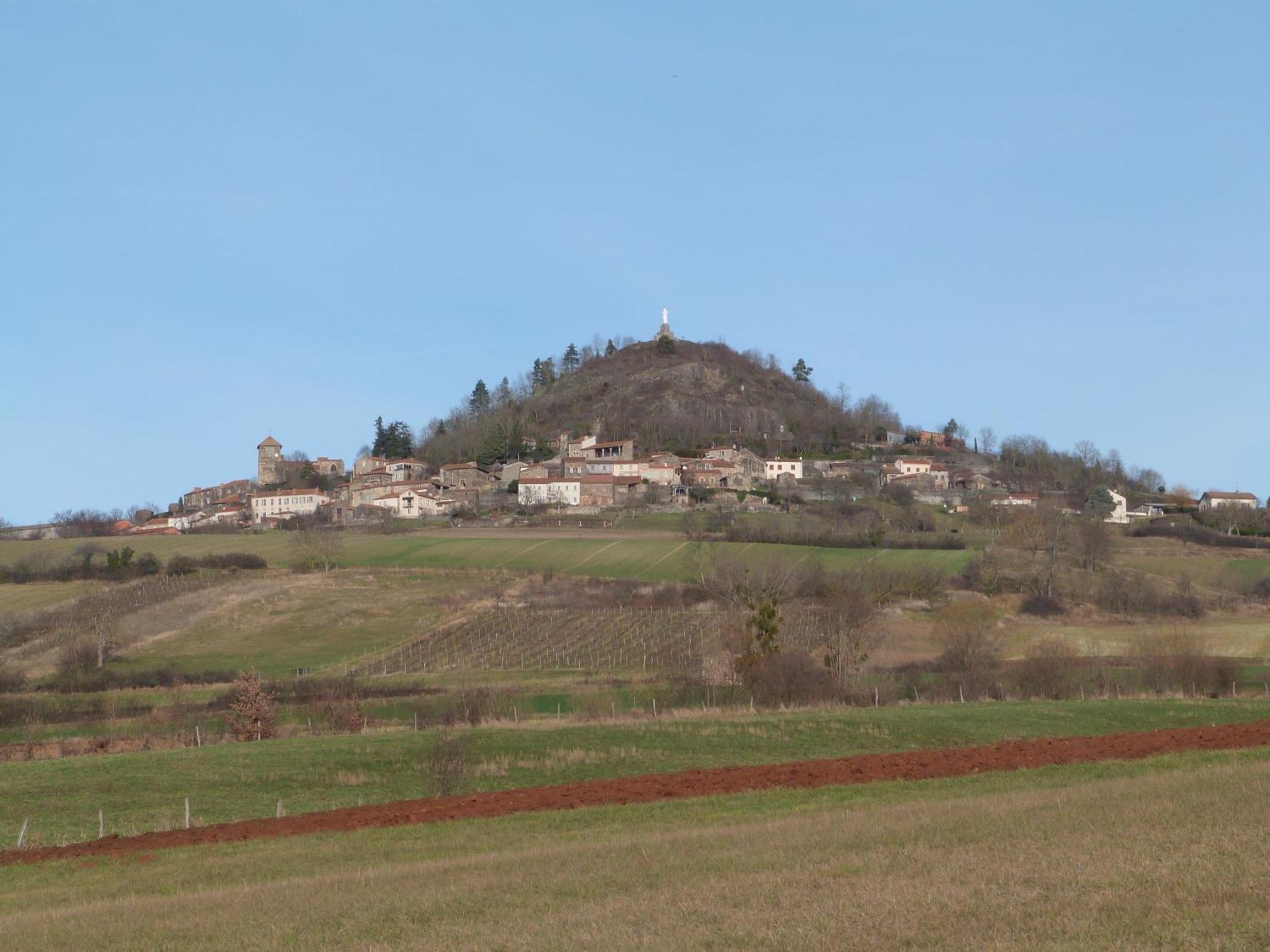 Chateau Des Aiguilles Saint-Remy-de-Chargnat Bagian luar foto
