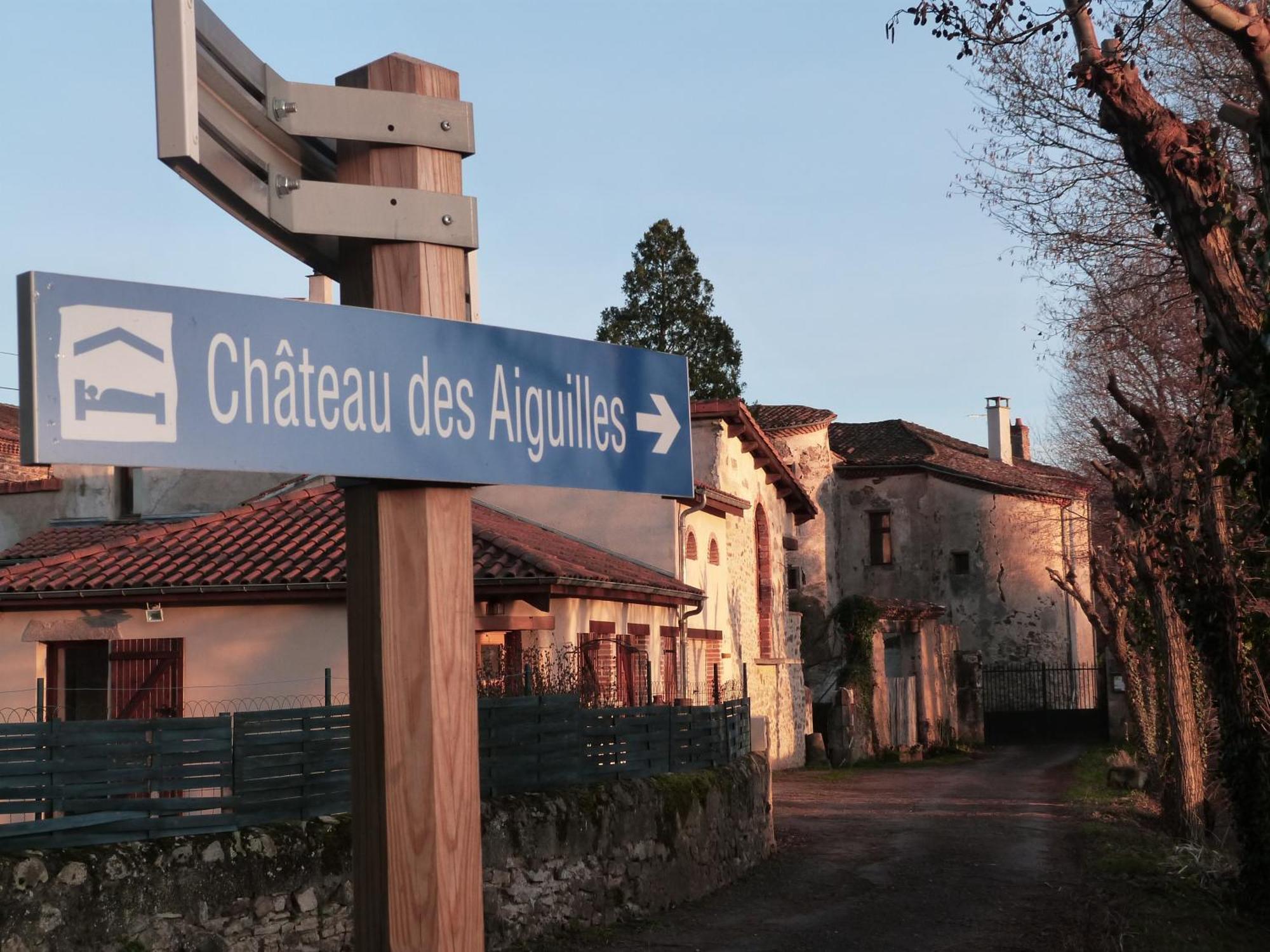 Chateau Des Aiguilles Saint-Remy-de-Chargnat Bagian luar foto